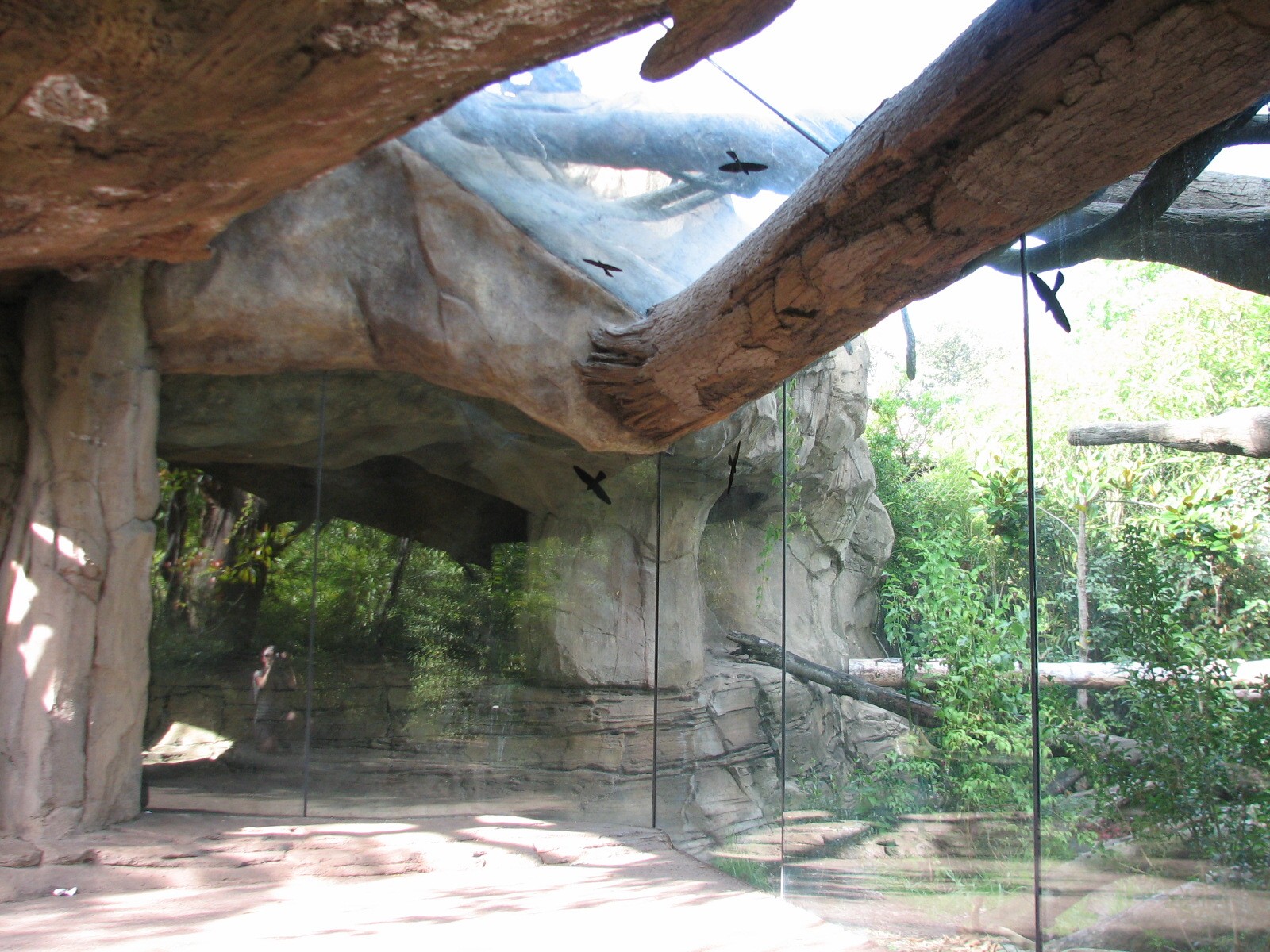 Tropical Rain Forest - Jaguar Cove Exhibit
