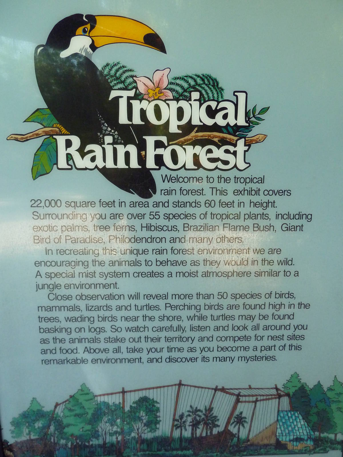 Tropical Rain Forest - Sign