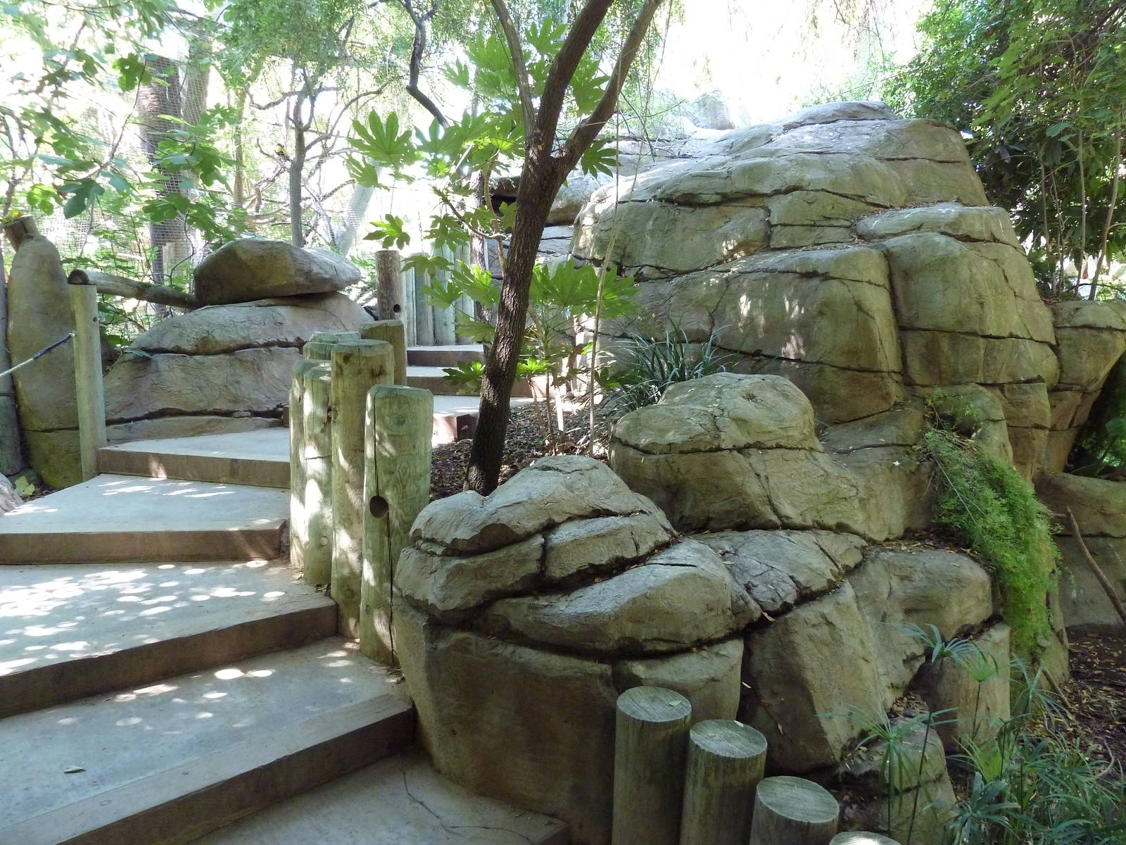 Tropical Rain Forest