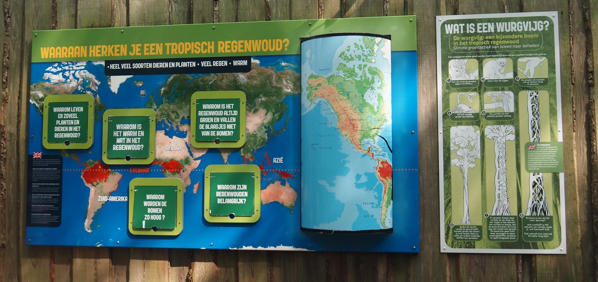Tropical rainforest and strangler fig educational signage, 2024-08-18
