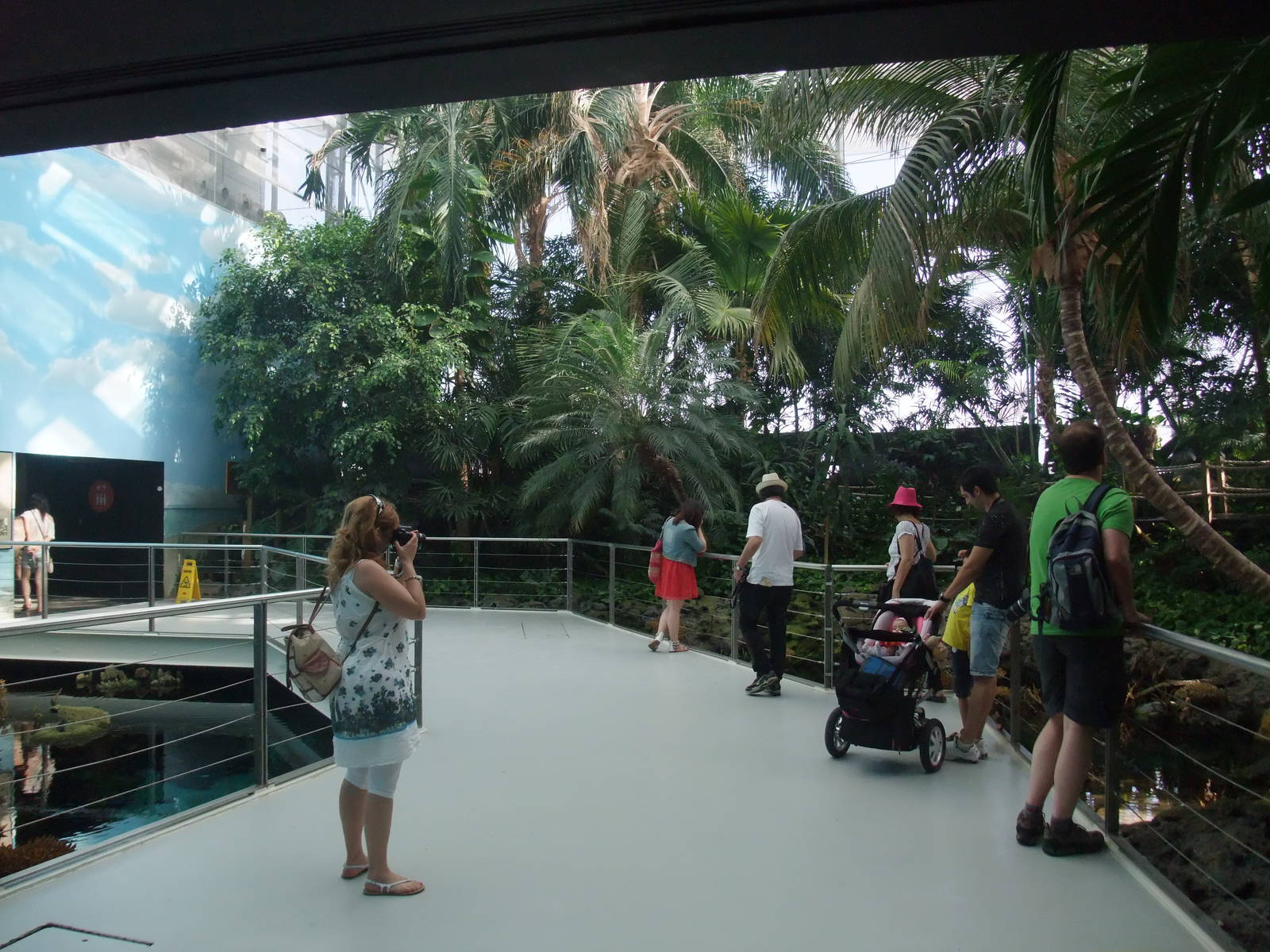 Tropical Rainforest at Lisbon Oceanarium, 25/05/11