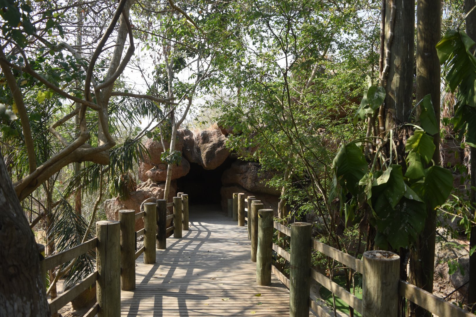 Tropical rainforest aviary entrance