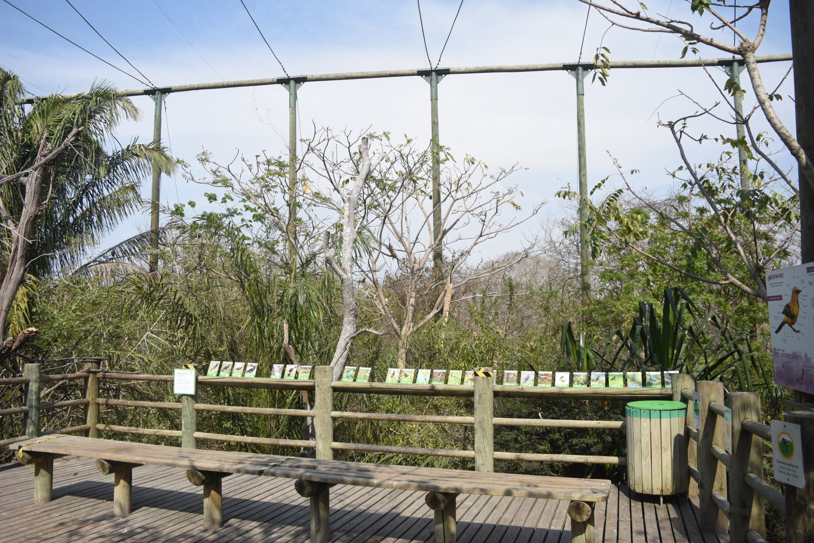 Tropical rainforest aviary main viewing platform