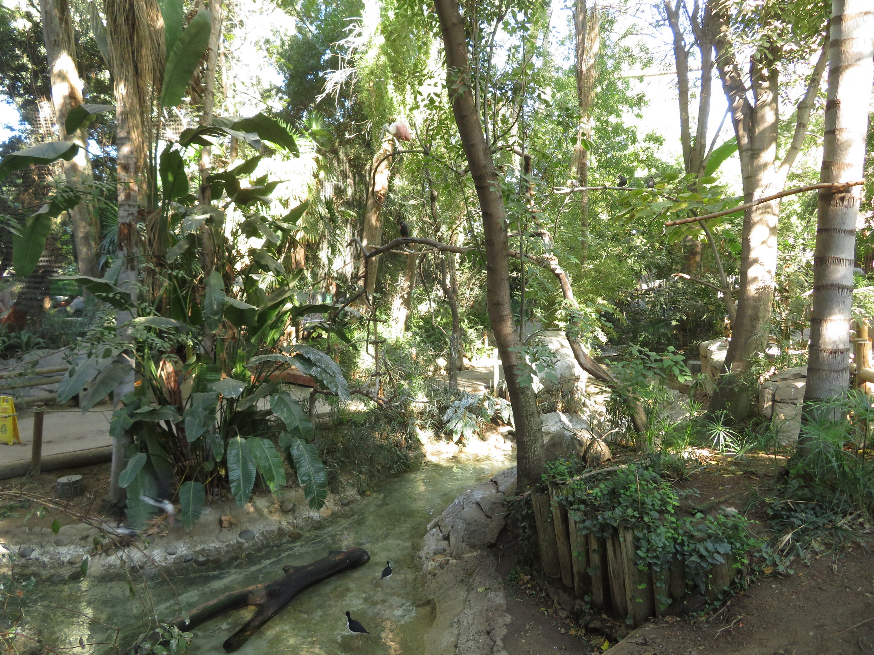 Tropical Rainforest Aviary