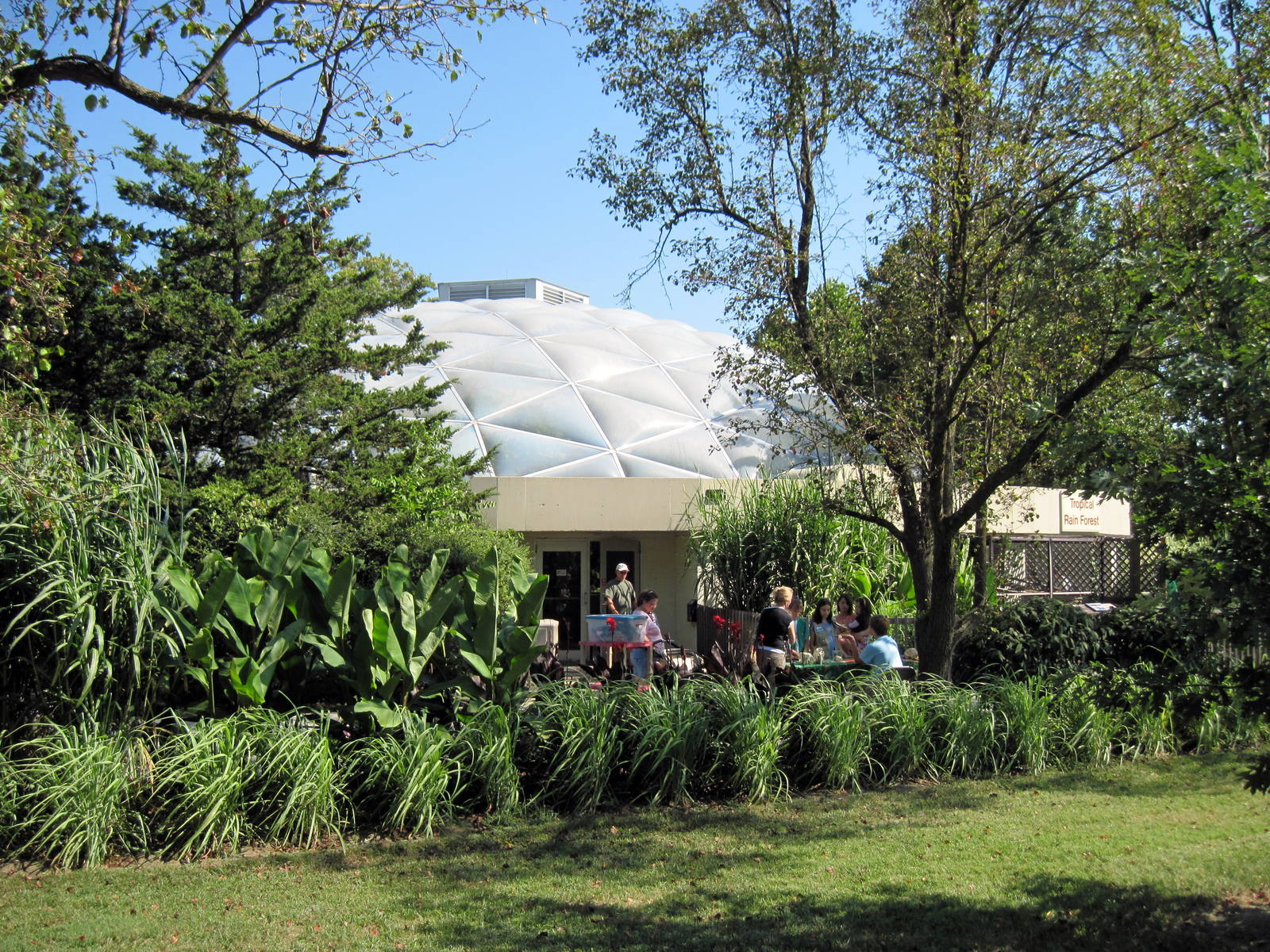 Tropical Rainforest Building