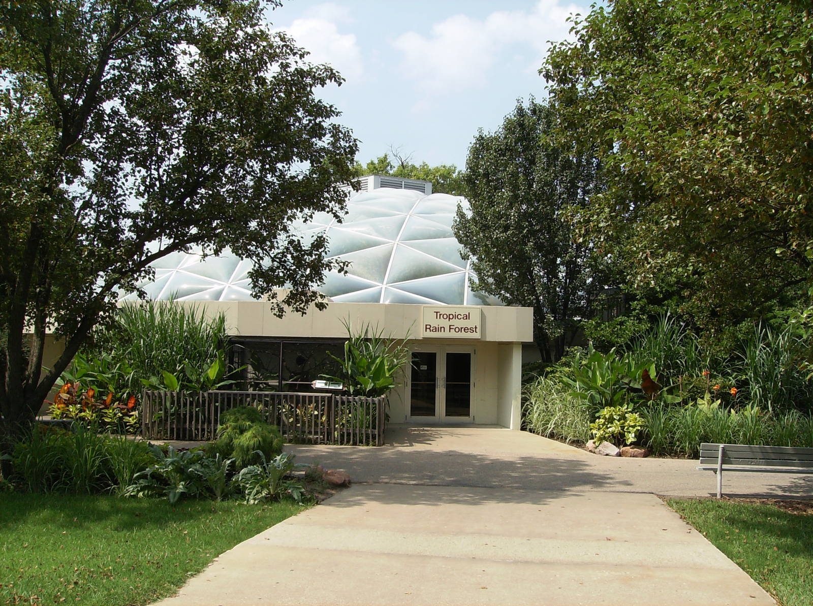 Tropical rainforest Building