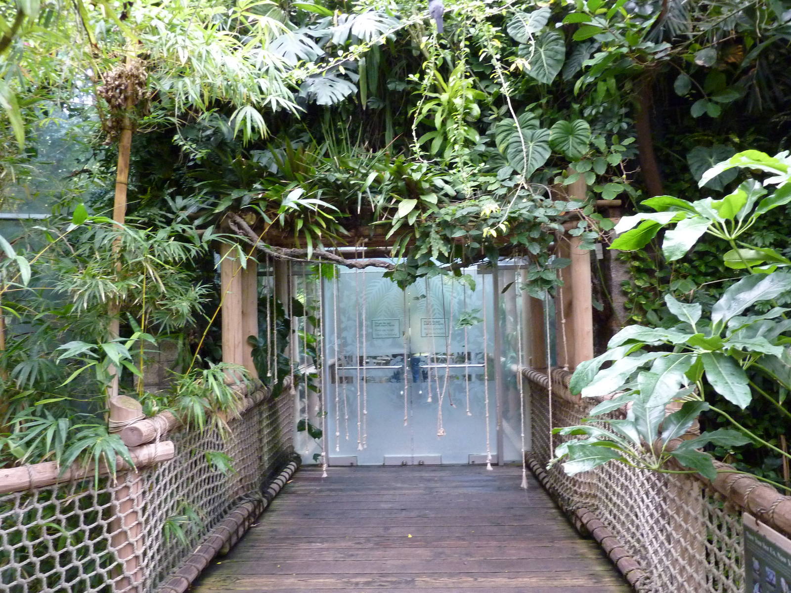 Tropical Rainforest Building