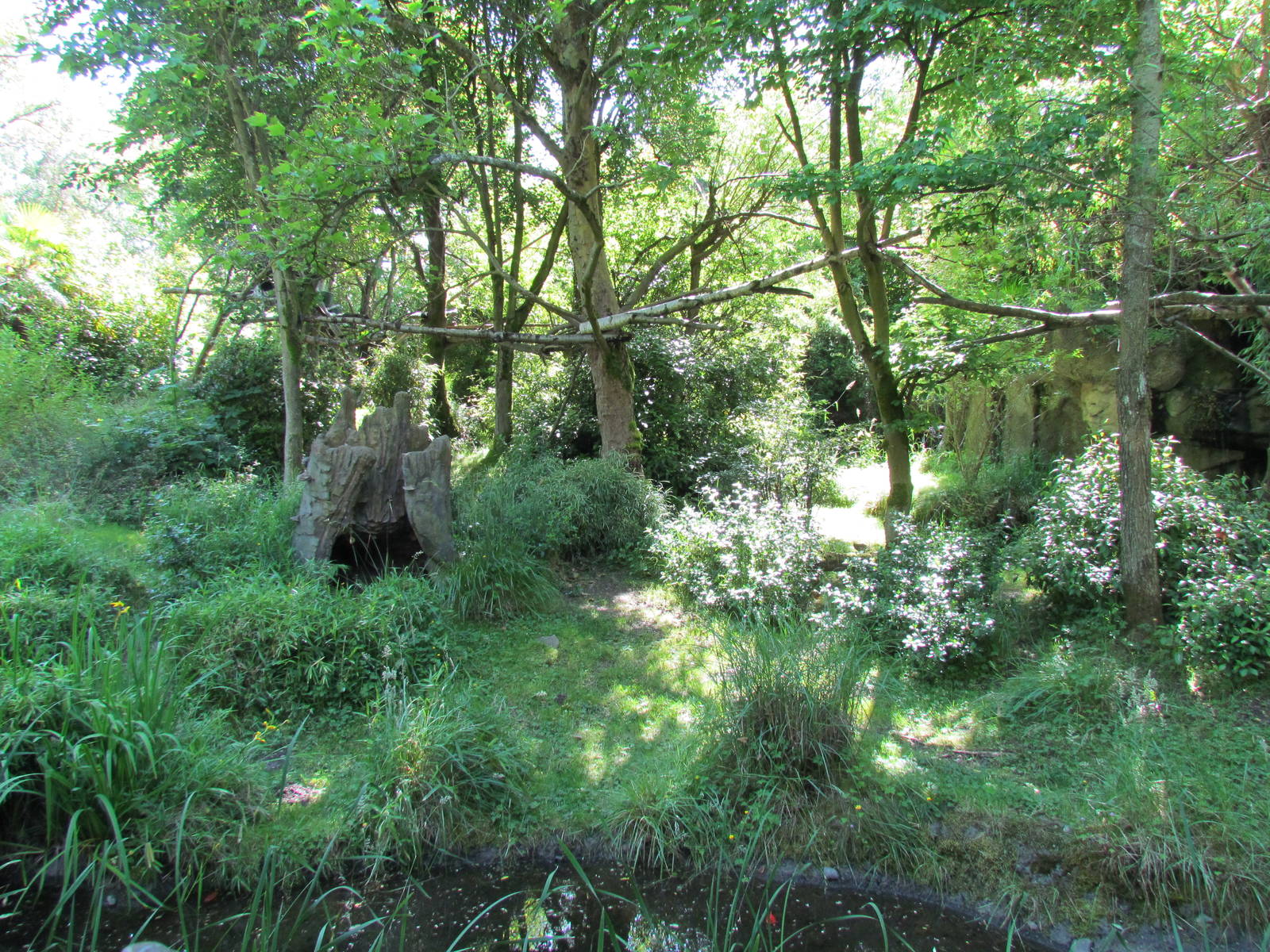 Tropical Rainforest - Colobus Exhibit