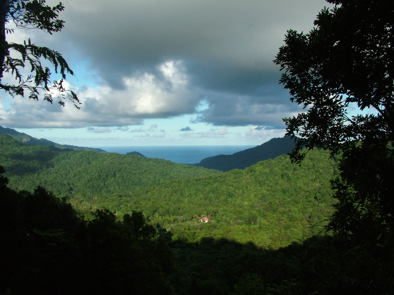 Tropical Rainforest, Dominica