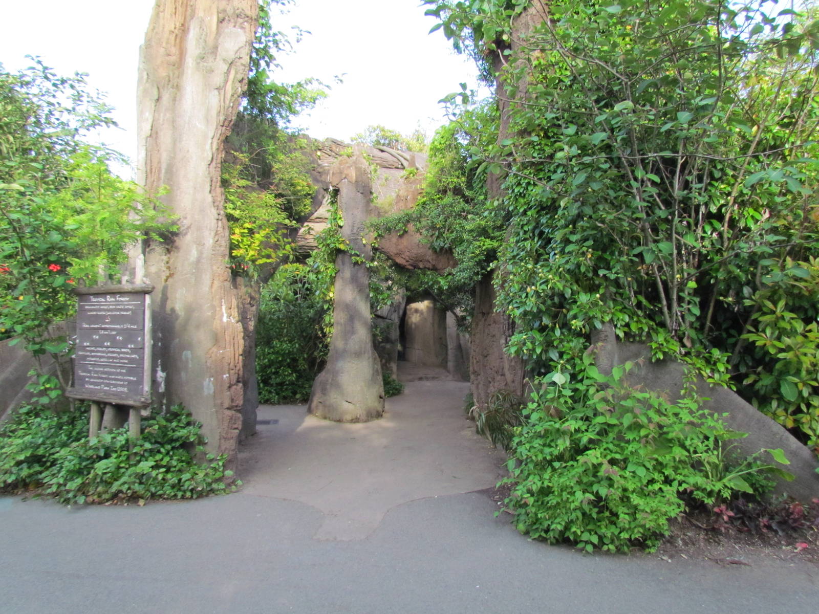 Tropical Rainforest - Entrance