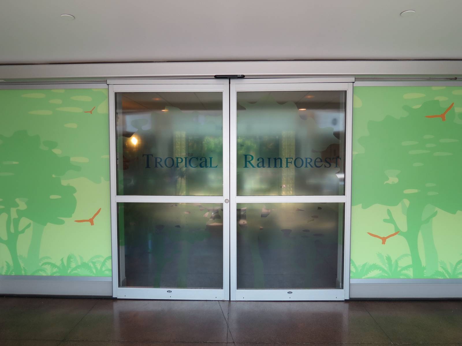 Tropical Rainforest - Entrance