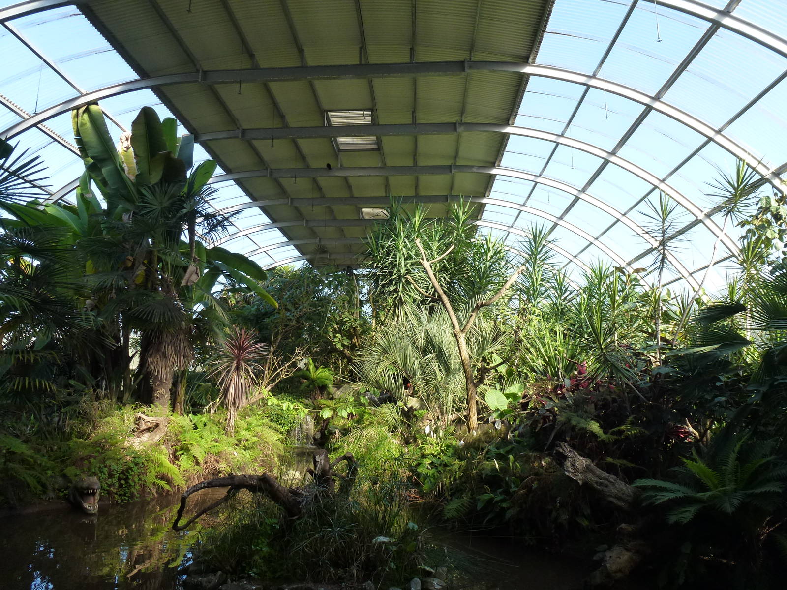 Tropical rainforest exhibit - Biorama, November 2013.