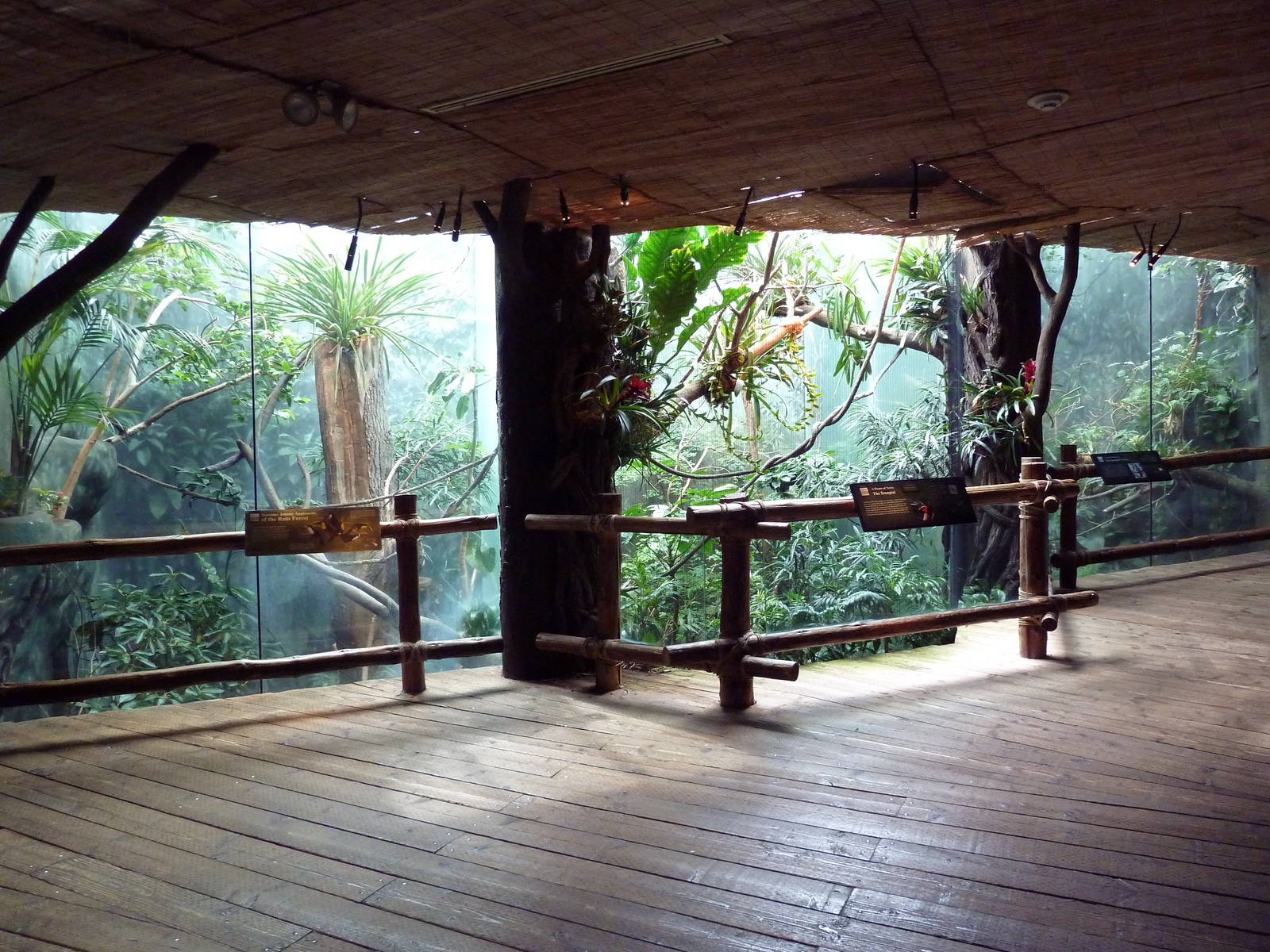 Tropical Rainforest Exhibits