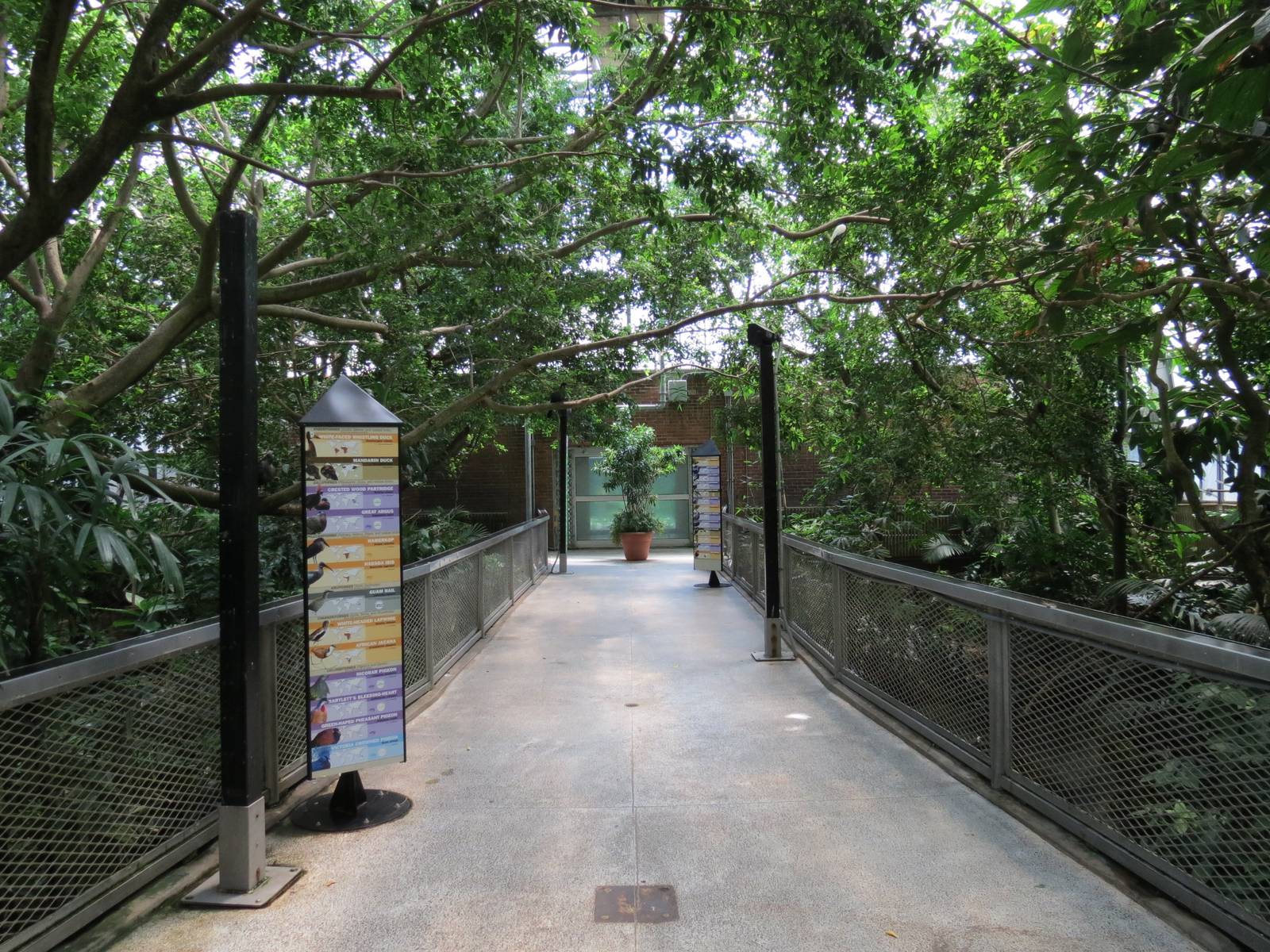 Tropical Rainforest - Interior