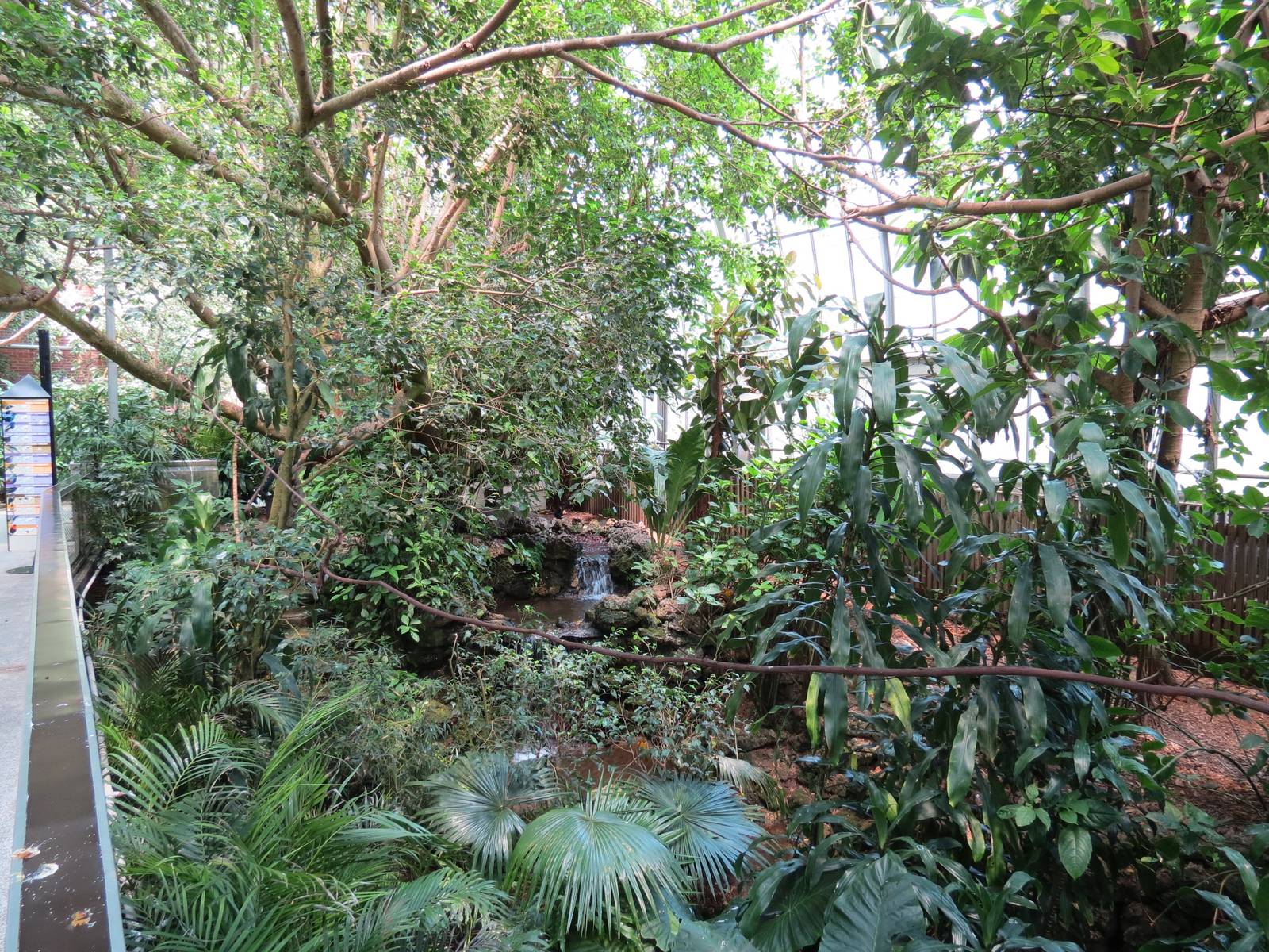 Tropical Rainforest - Interior