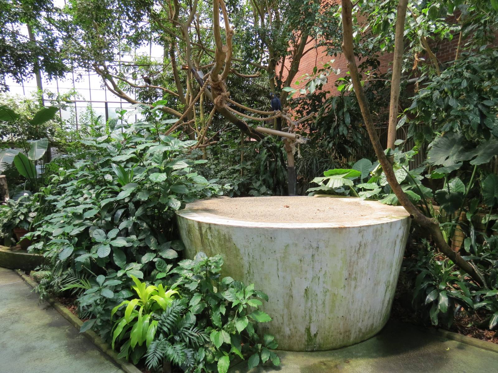 Tropical Rainforest - Interior