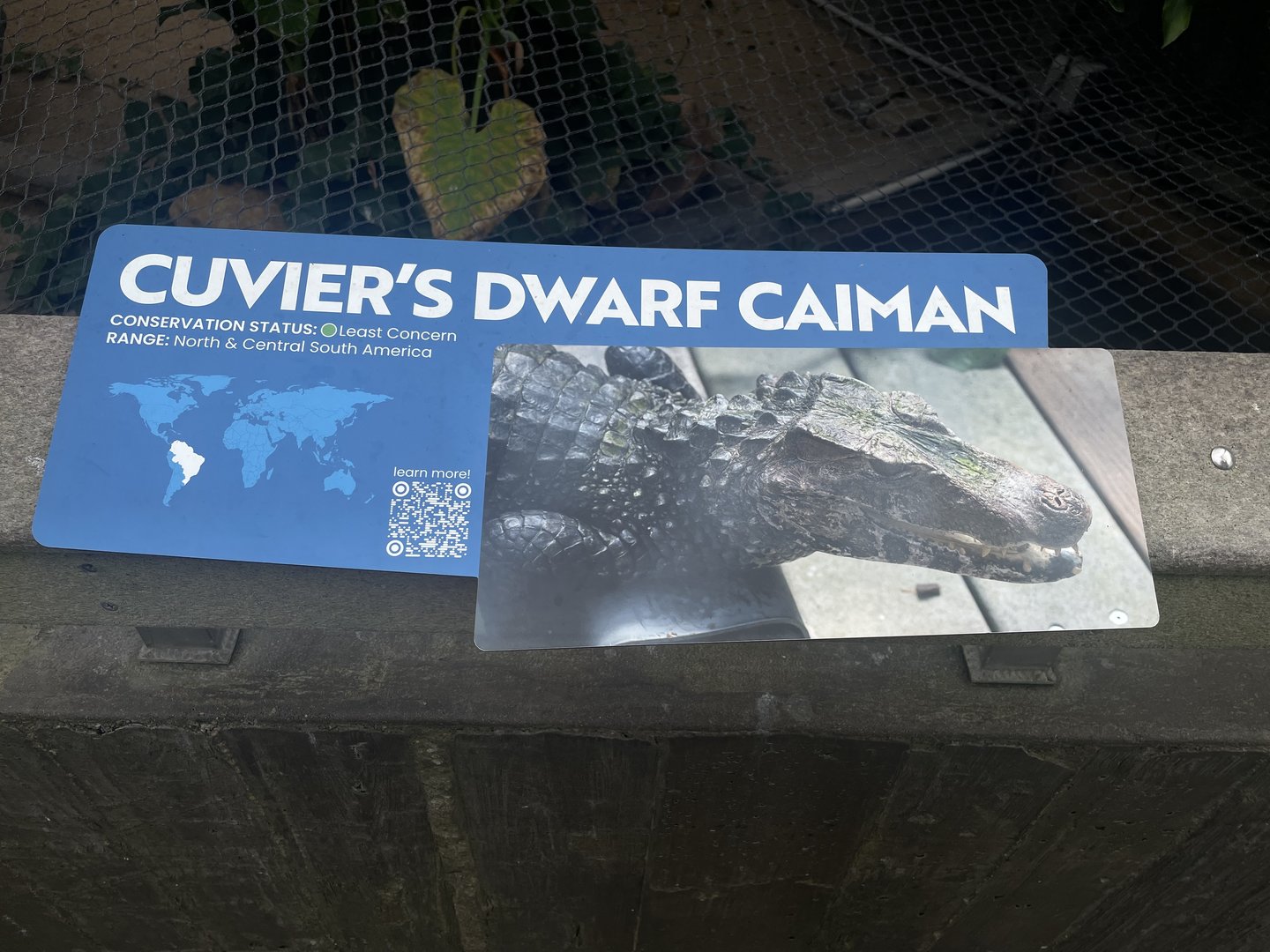 Tropical Rainforest - Signage Example