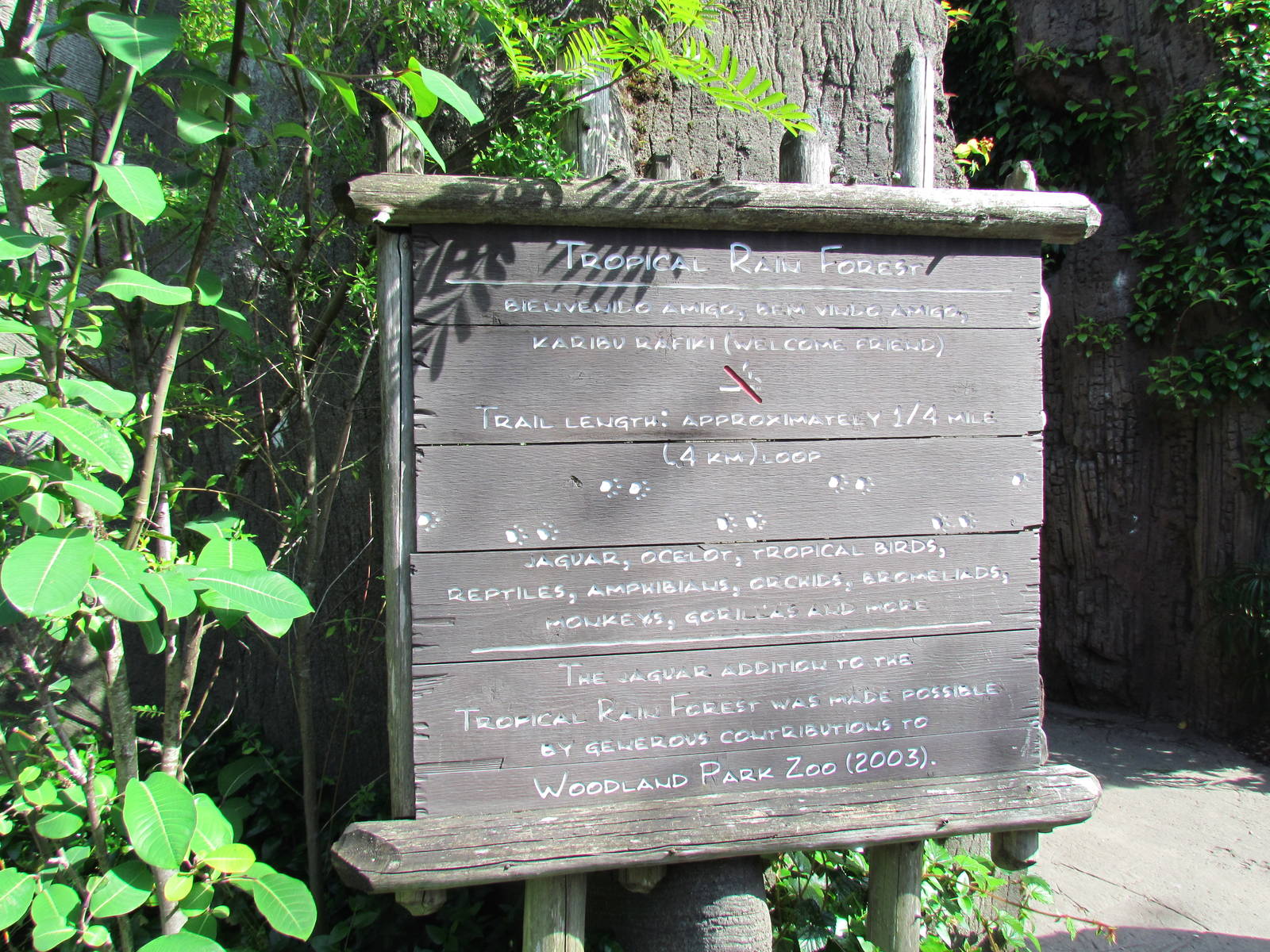 Tropical Rainforest - Signage