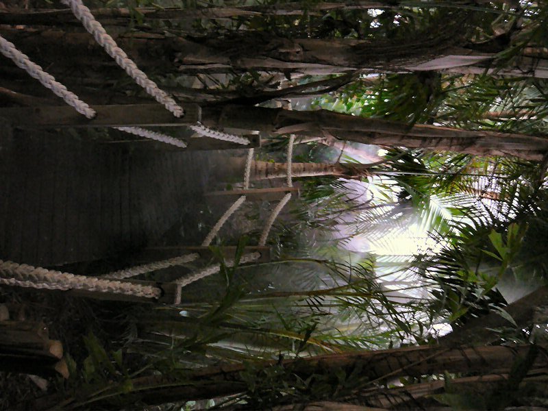 Tropical rainforest walkway at Lisbon Oceanario (aquarium)