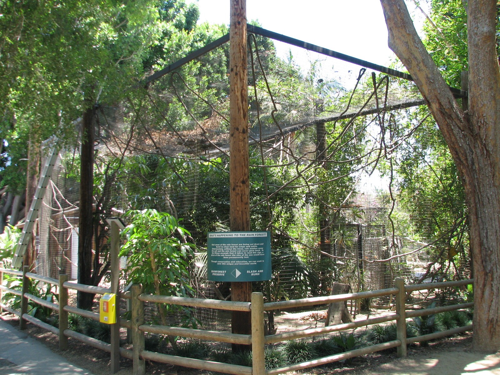 Tropical Rainforest - White-faced Saki Exhibit
