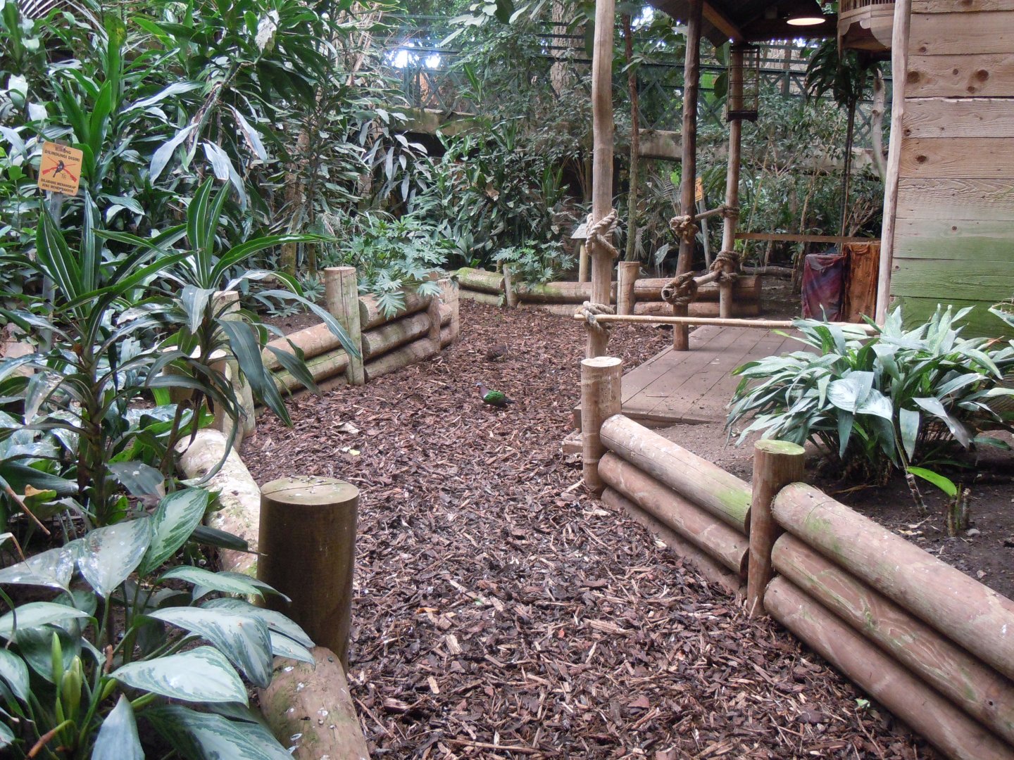 Tropical Realm 110920