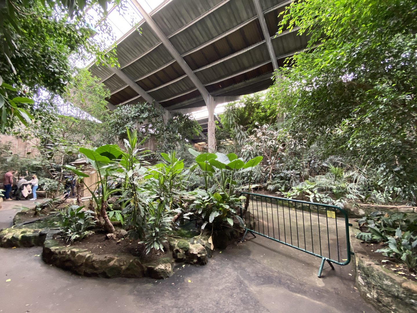 Tropical Realm 110920