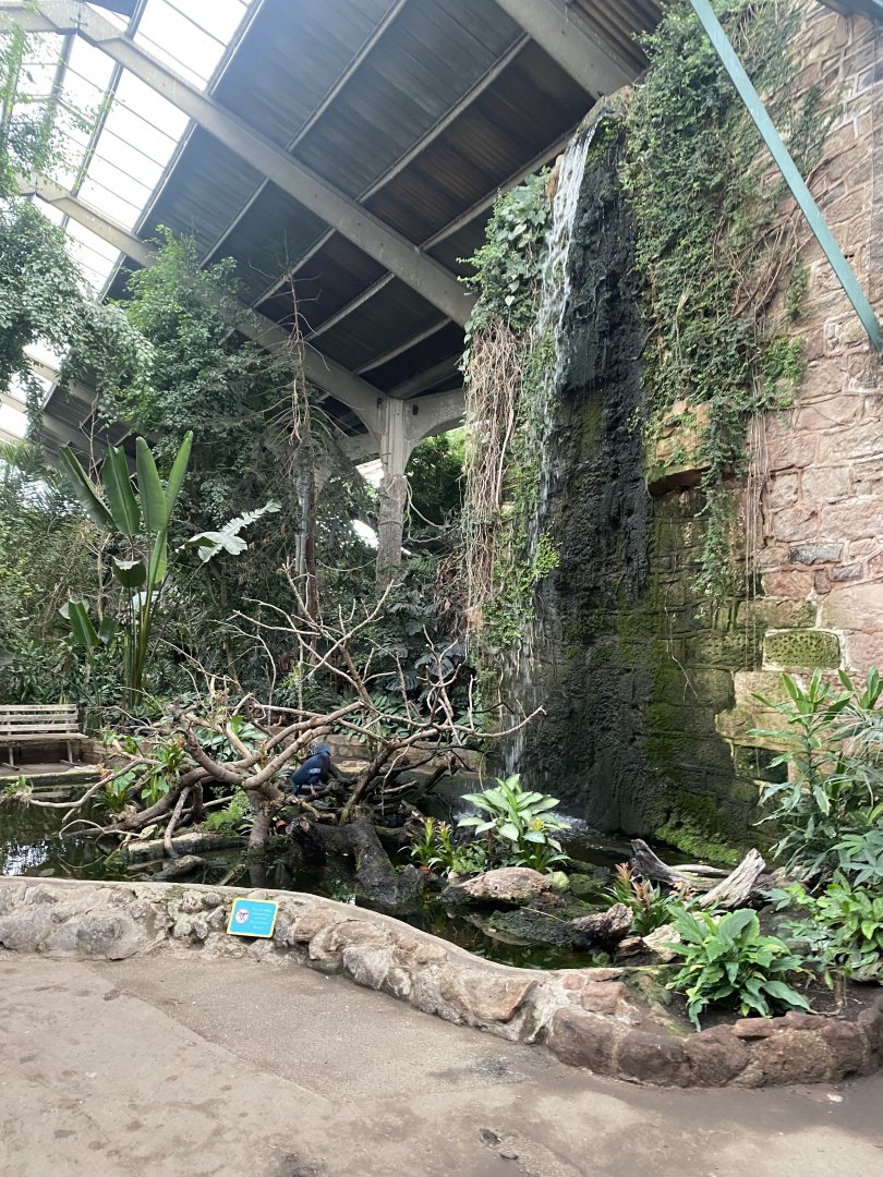 Tropical Realm 191021