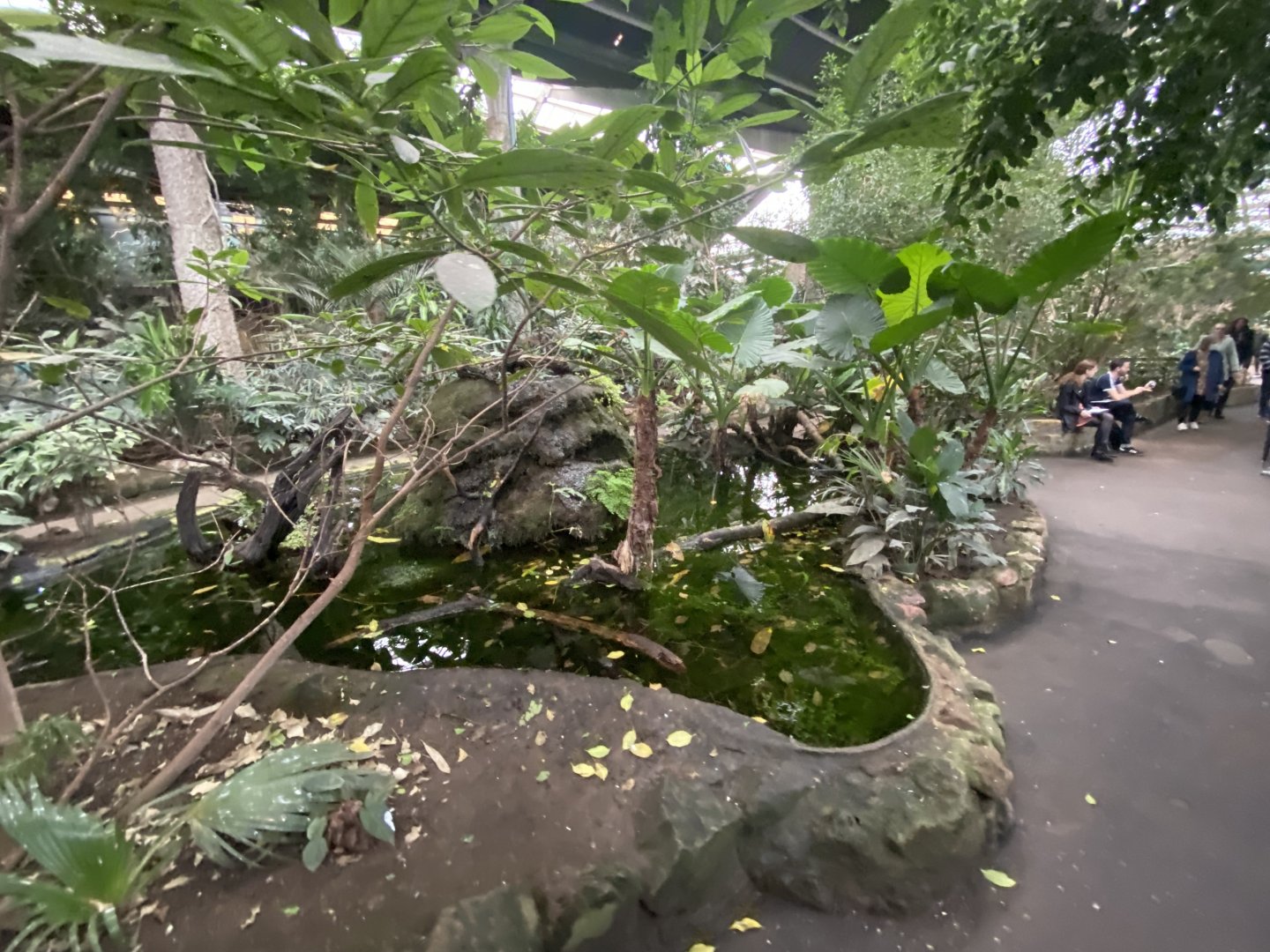 Tropical Realm 191021