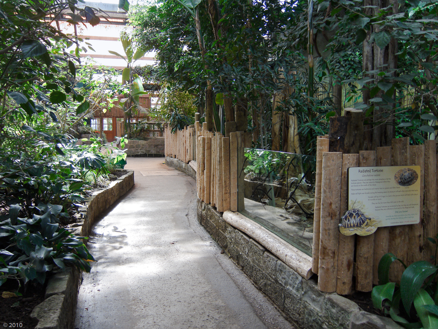 Tropical Realm - 21/04/2010