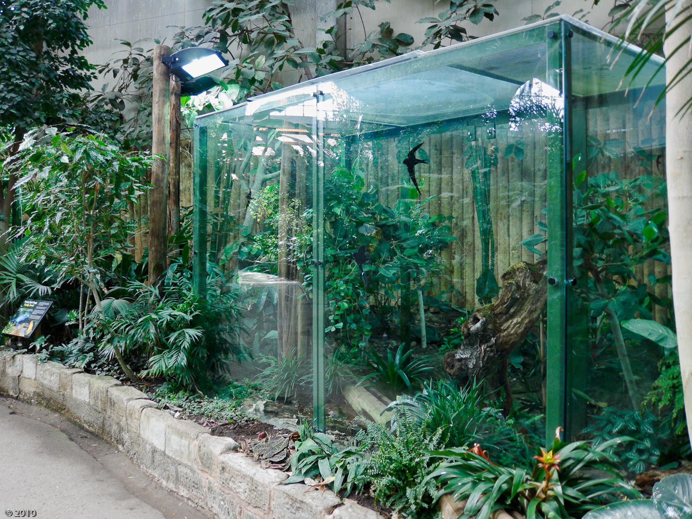 Tropical Realm - 21/04/2010