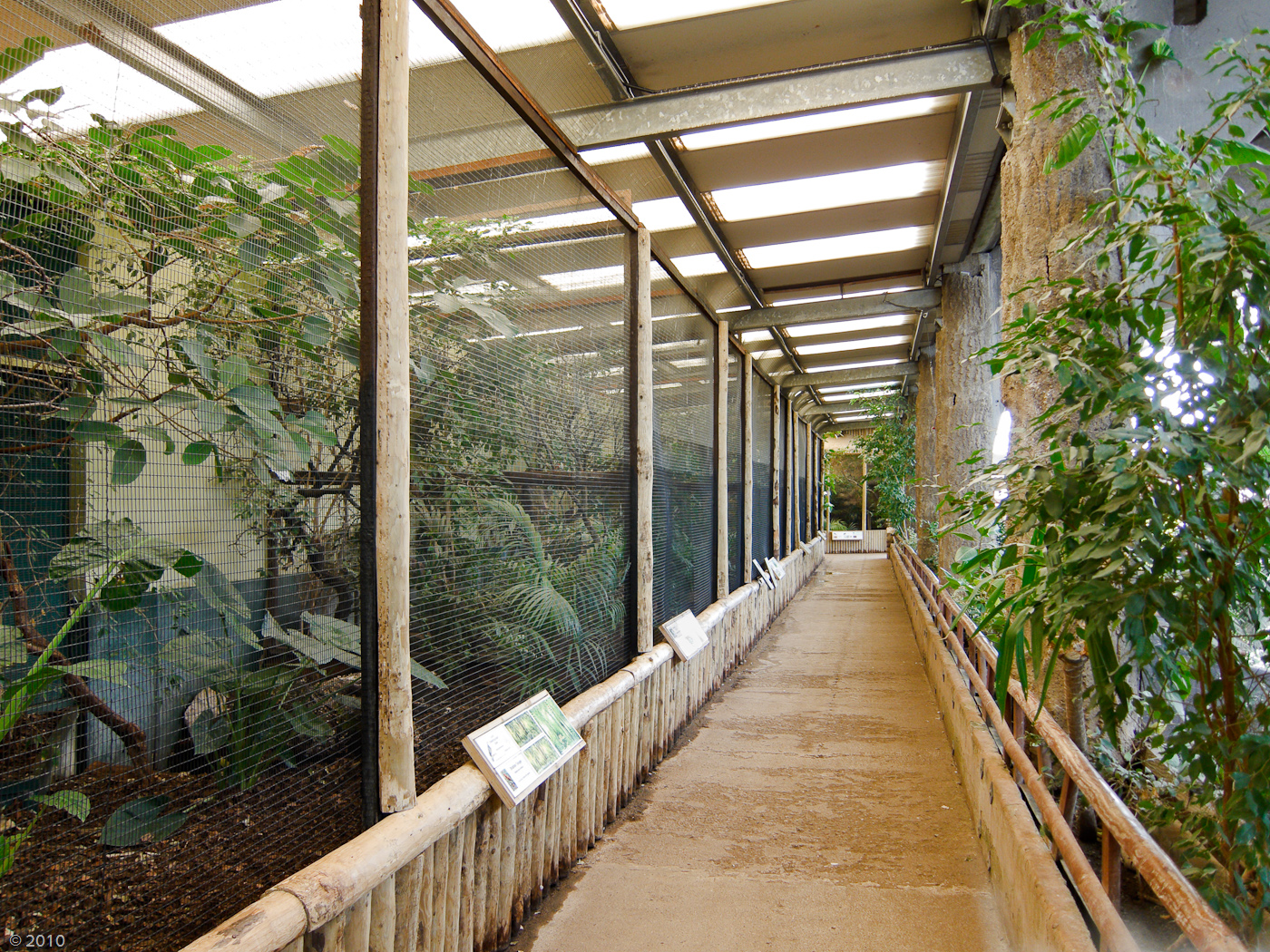 Tropical Realm - 21/04/2010