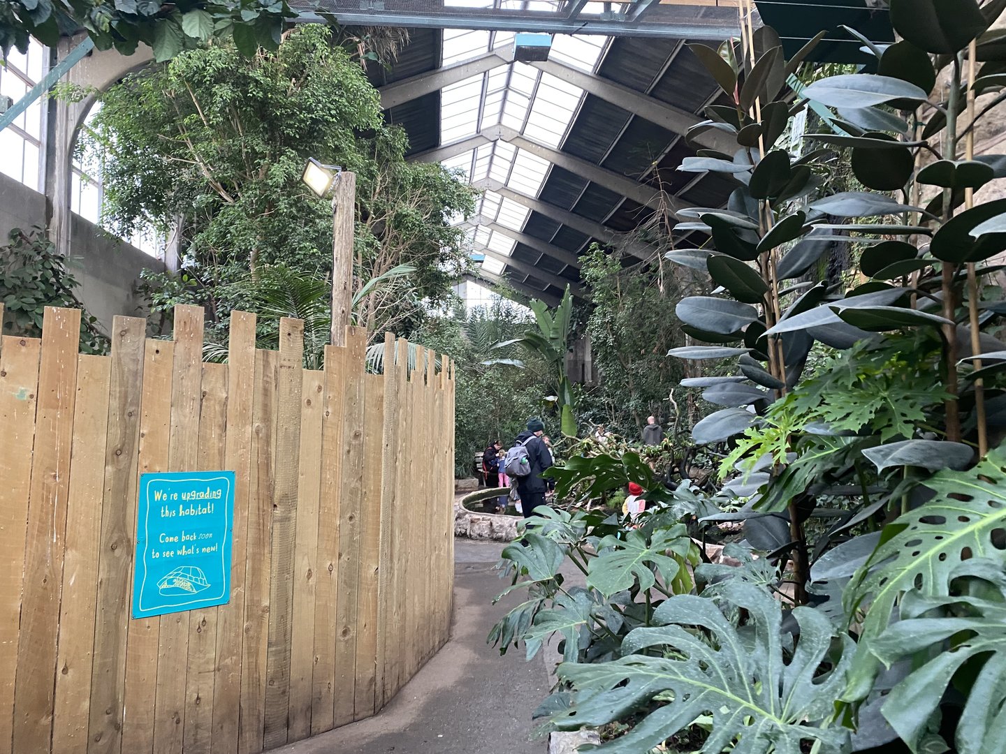 Tropical Realm 221022