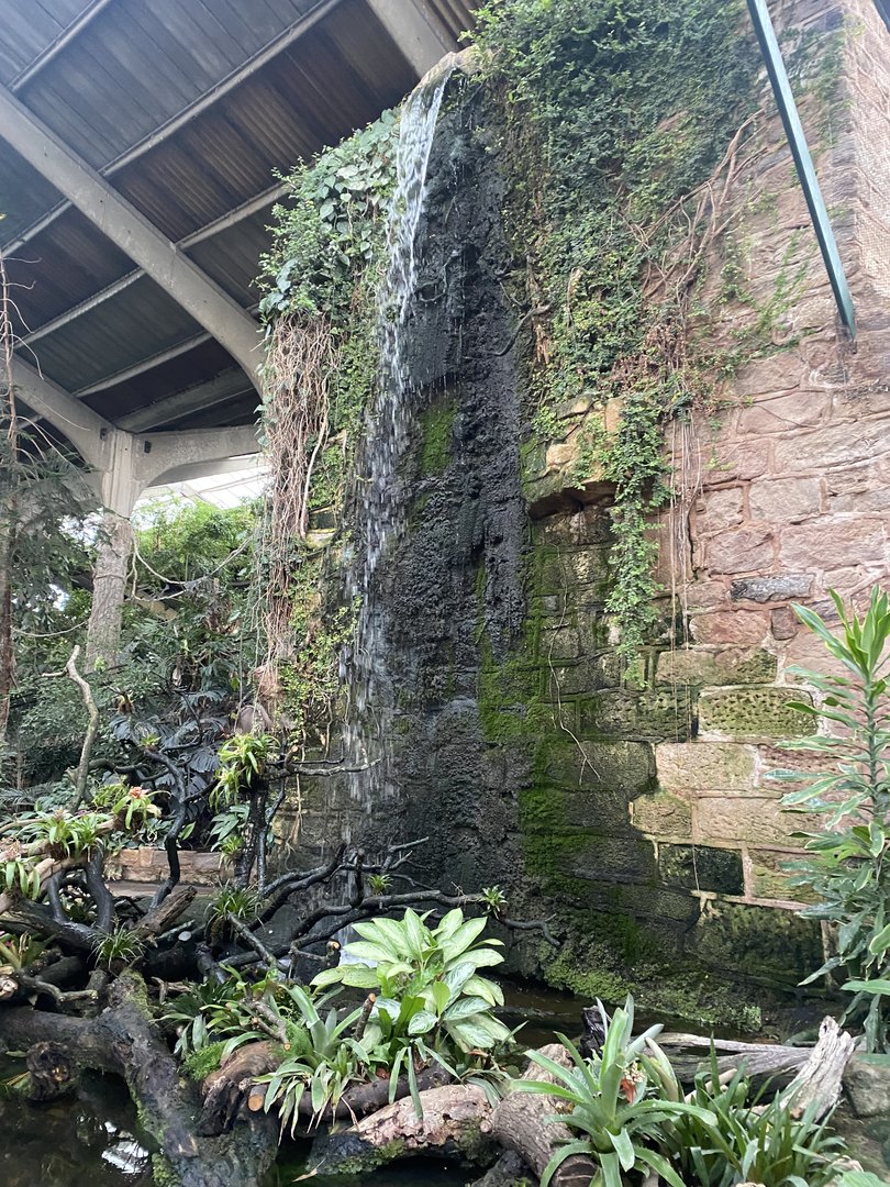 Tropical Realm 221022