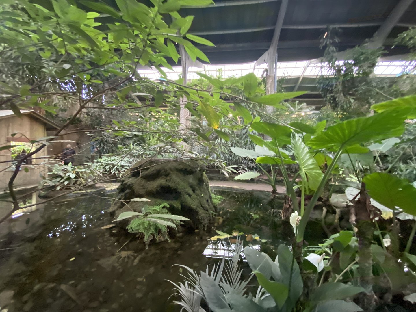 Tropical Realm 221022