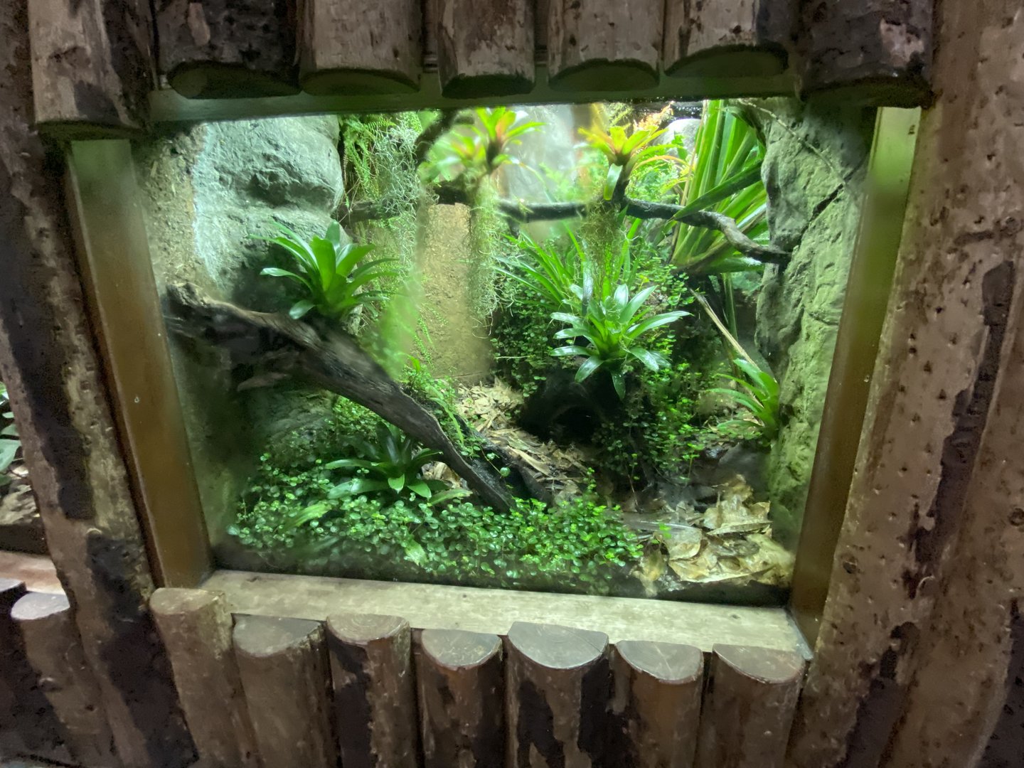 Tropical Realm 221022