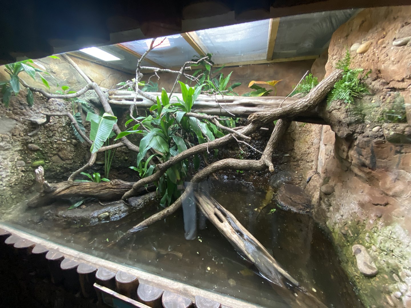 Tropical Realm 221022