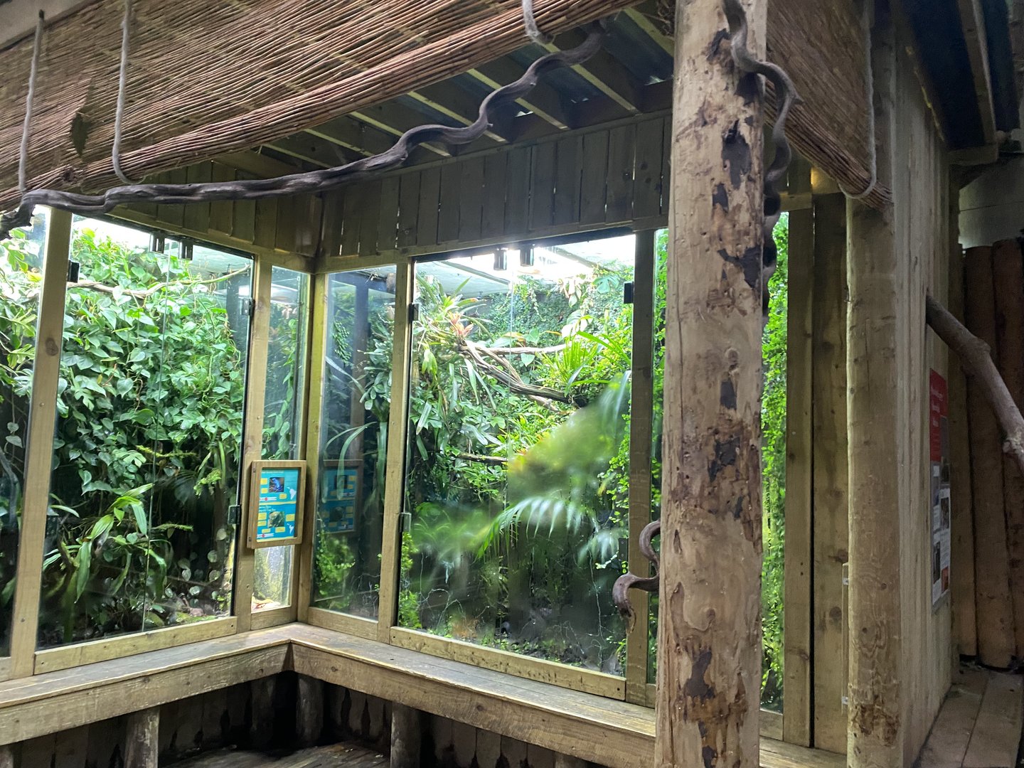 Tropical Realm 221022