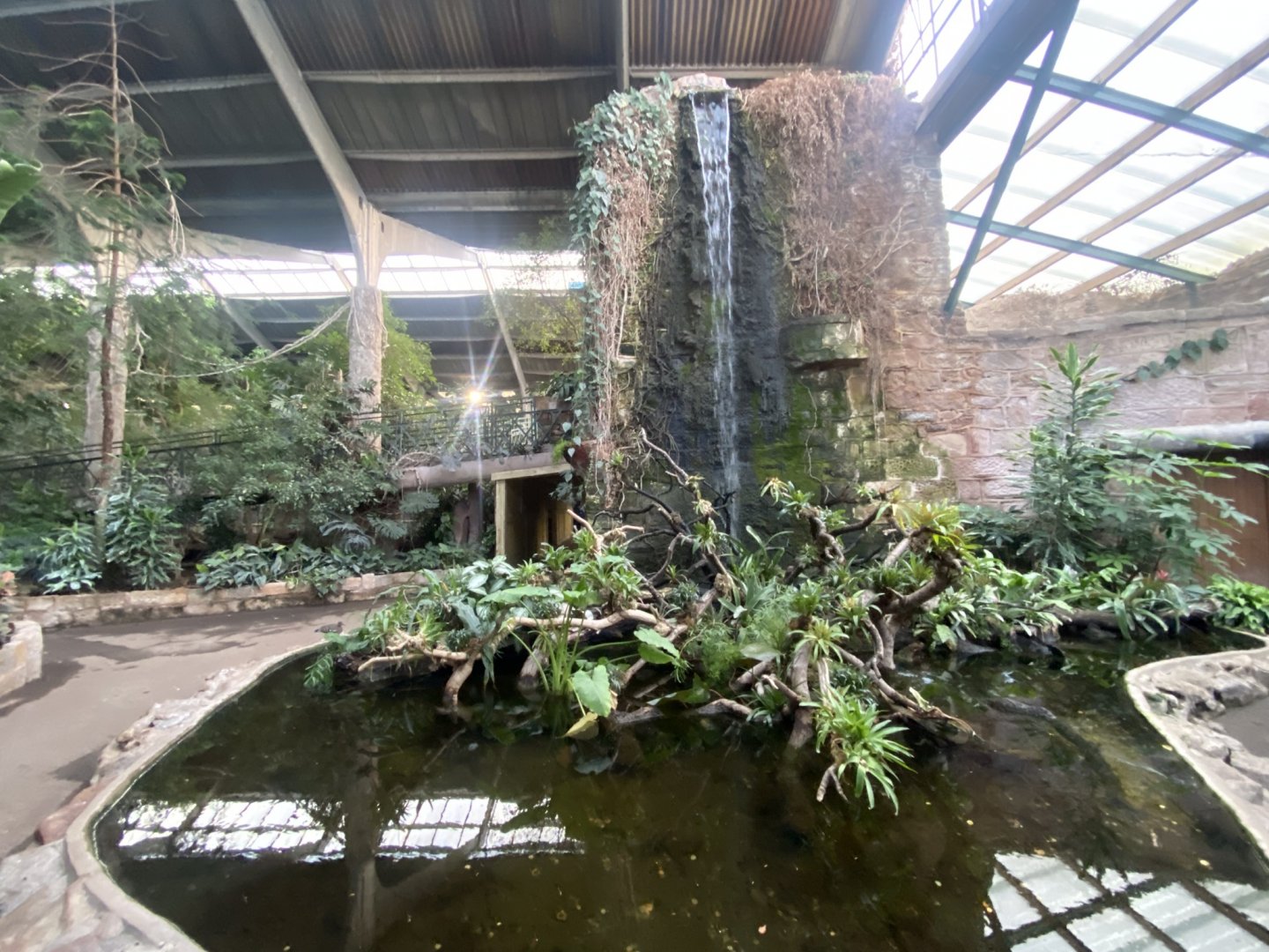 Tropical Realm 241123