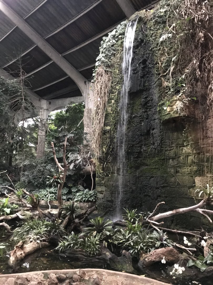 Tropical Realm 261019