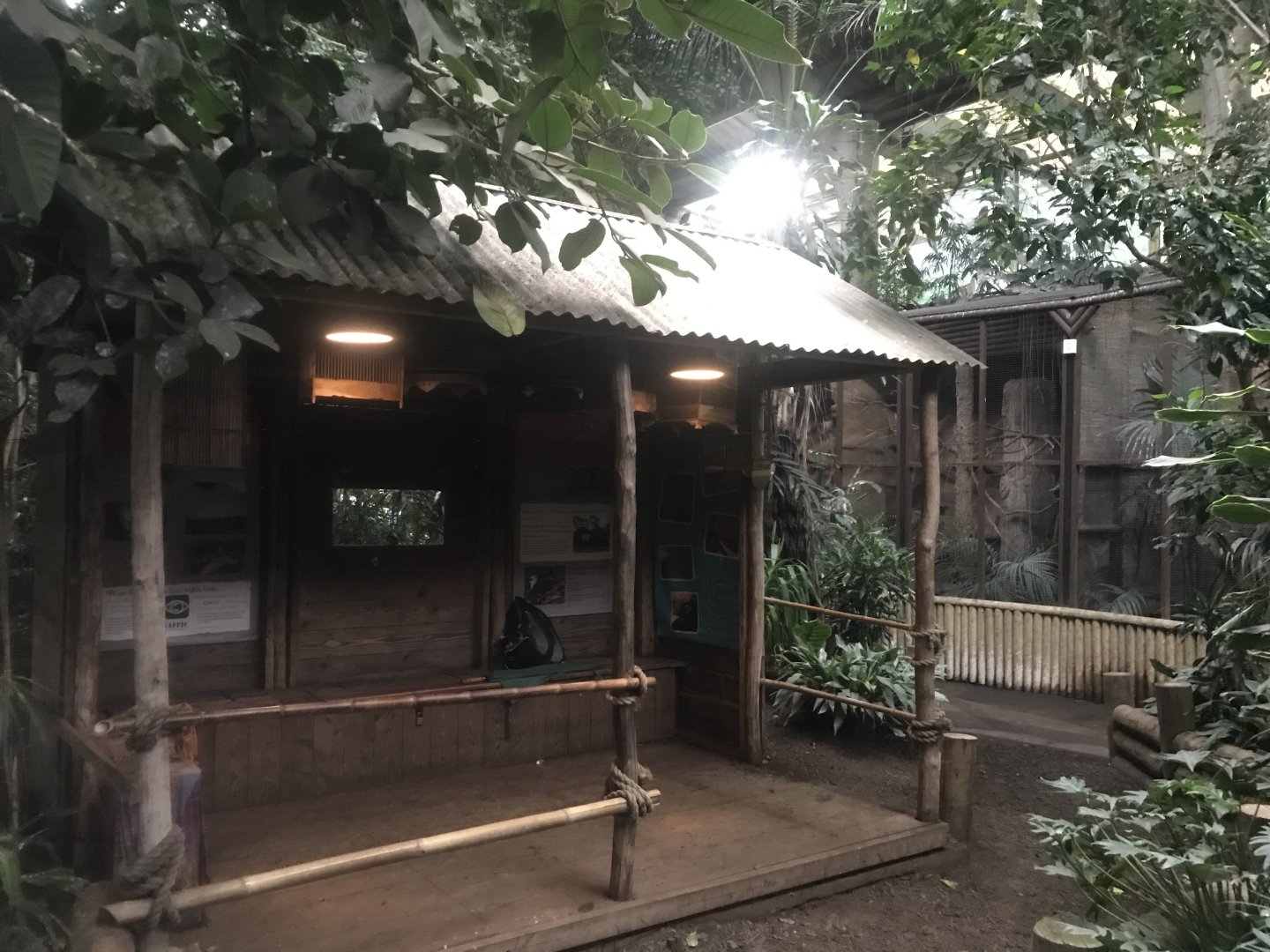 Tropical Realm 261019