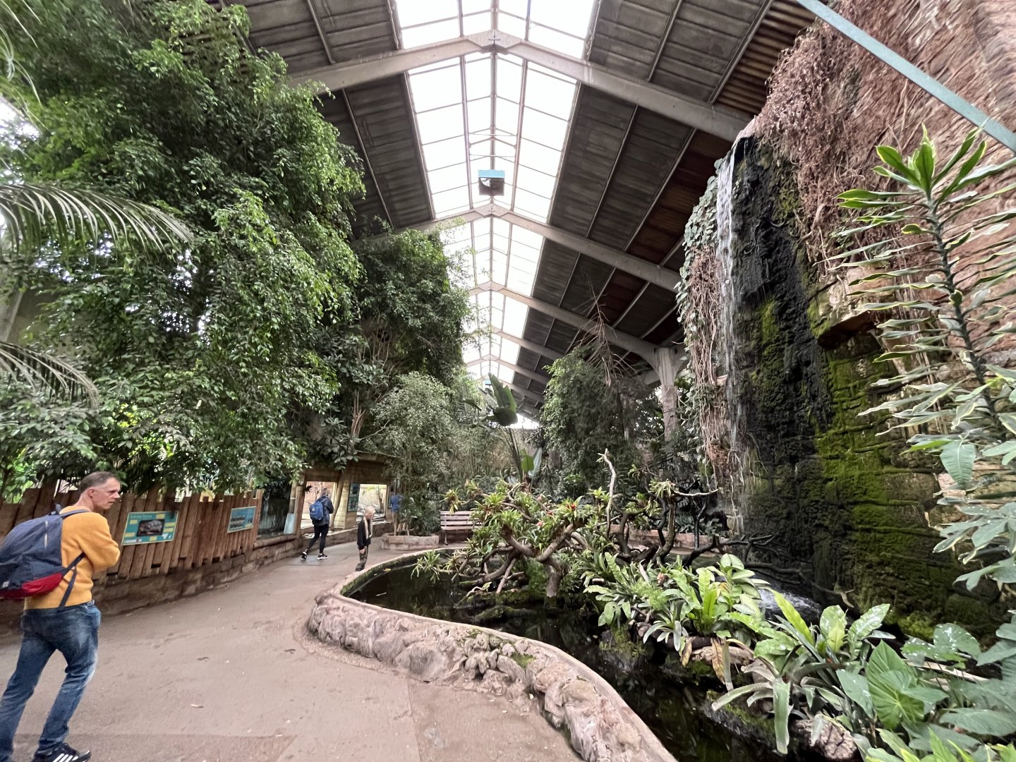 Tropical realm 29.6.24