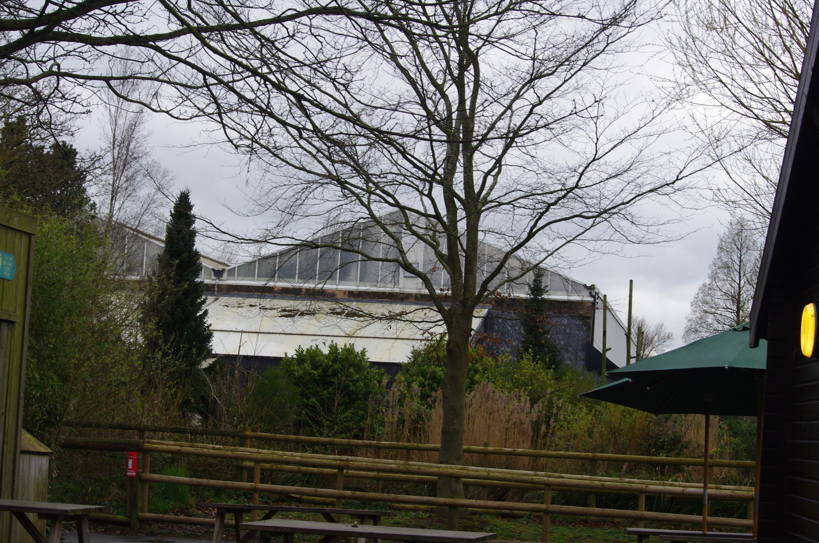 Tropical Realm- 5/4/2023