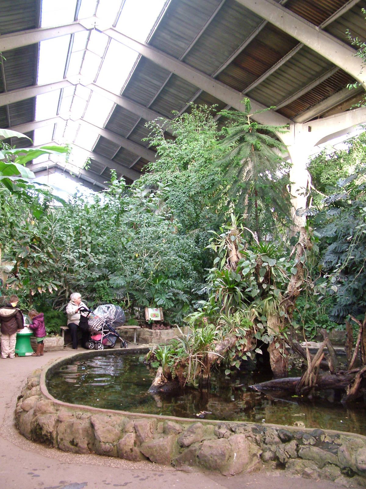 Tropical Realm at Chester 06/12/09