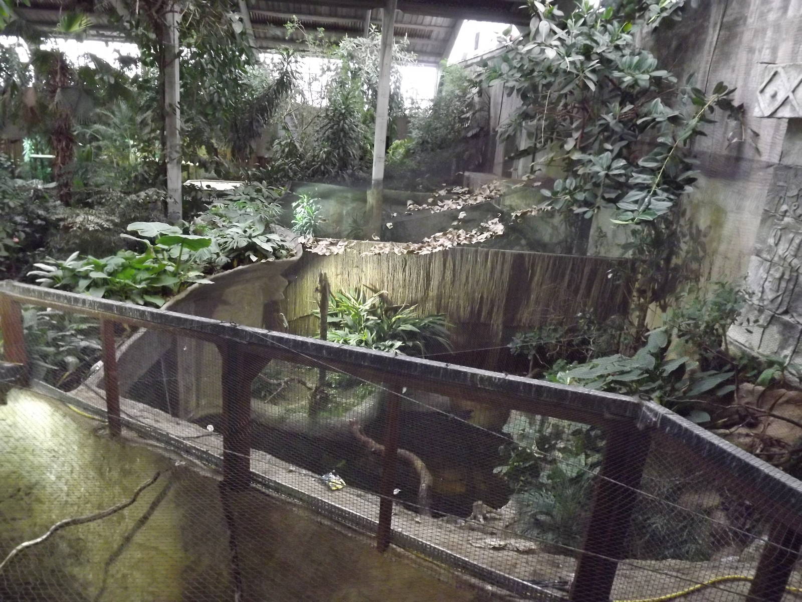 Tropical Realm at Chester Zoo 31/03/12