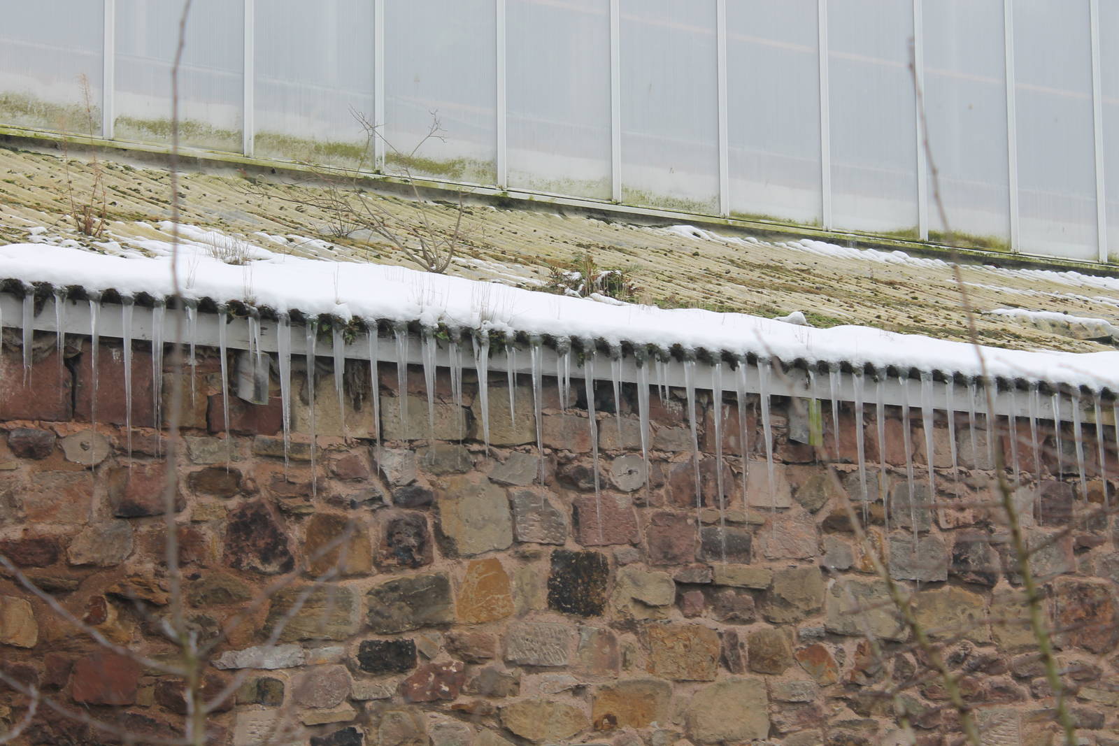 Tropical Realm Chester Zoo 2013