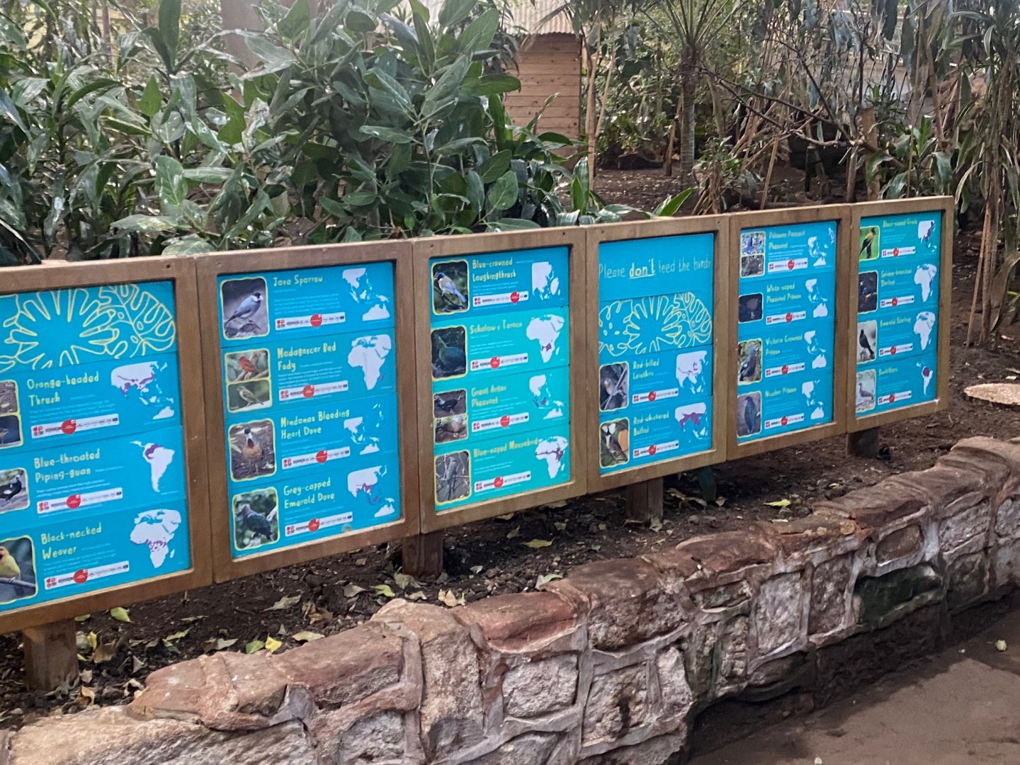 Tropical Realm - Free roaming inhabitants signage 241123