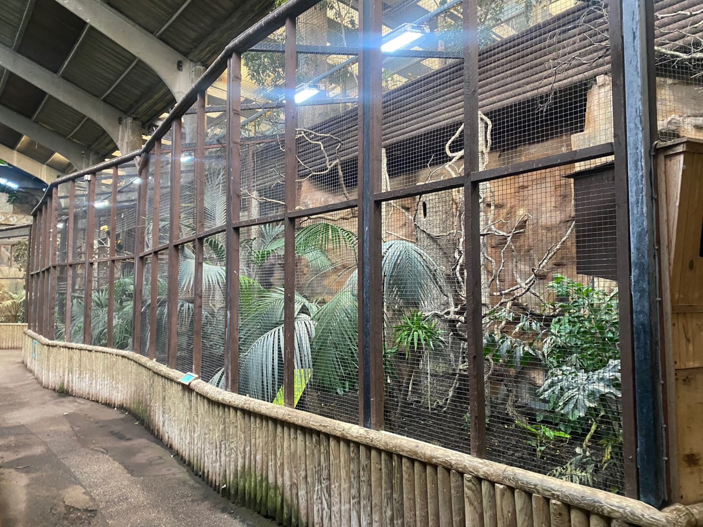 Tropical Realm - Hornbill aviaries 241123