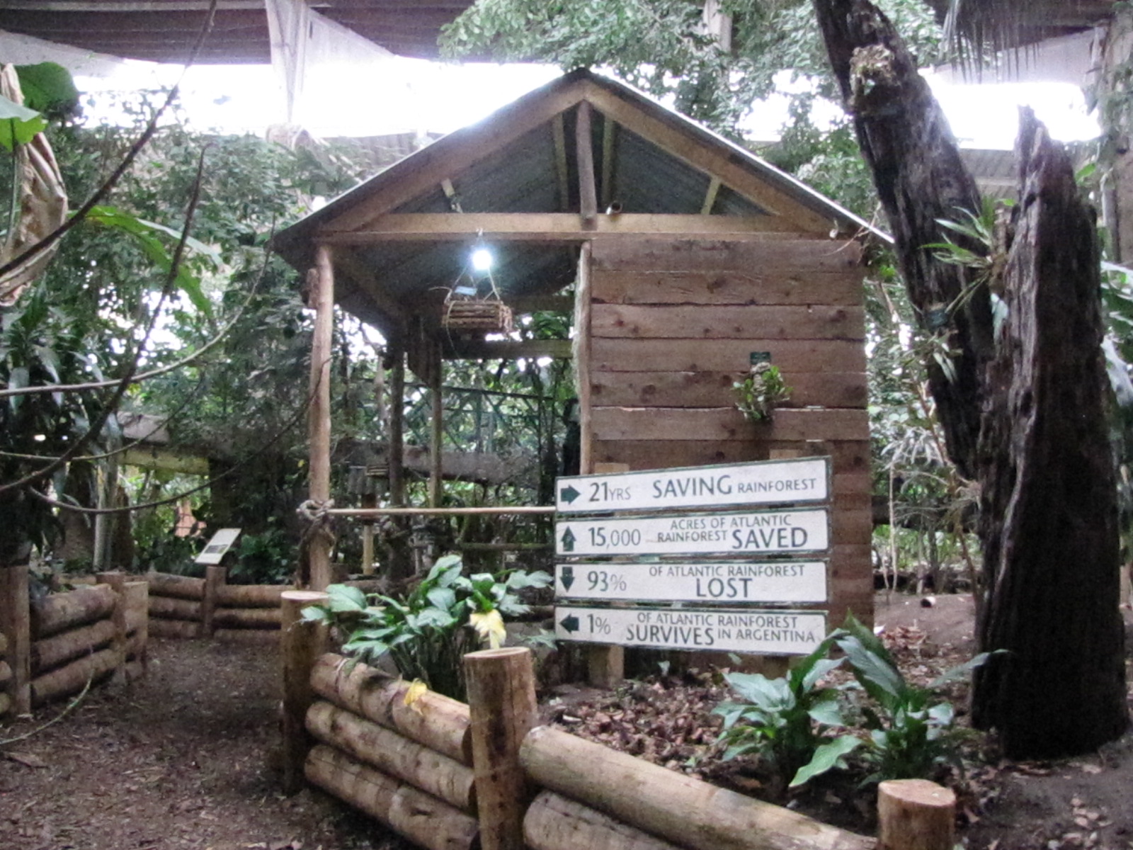 Tropical Realm hut