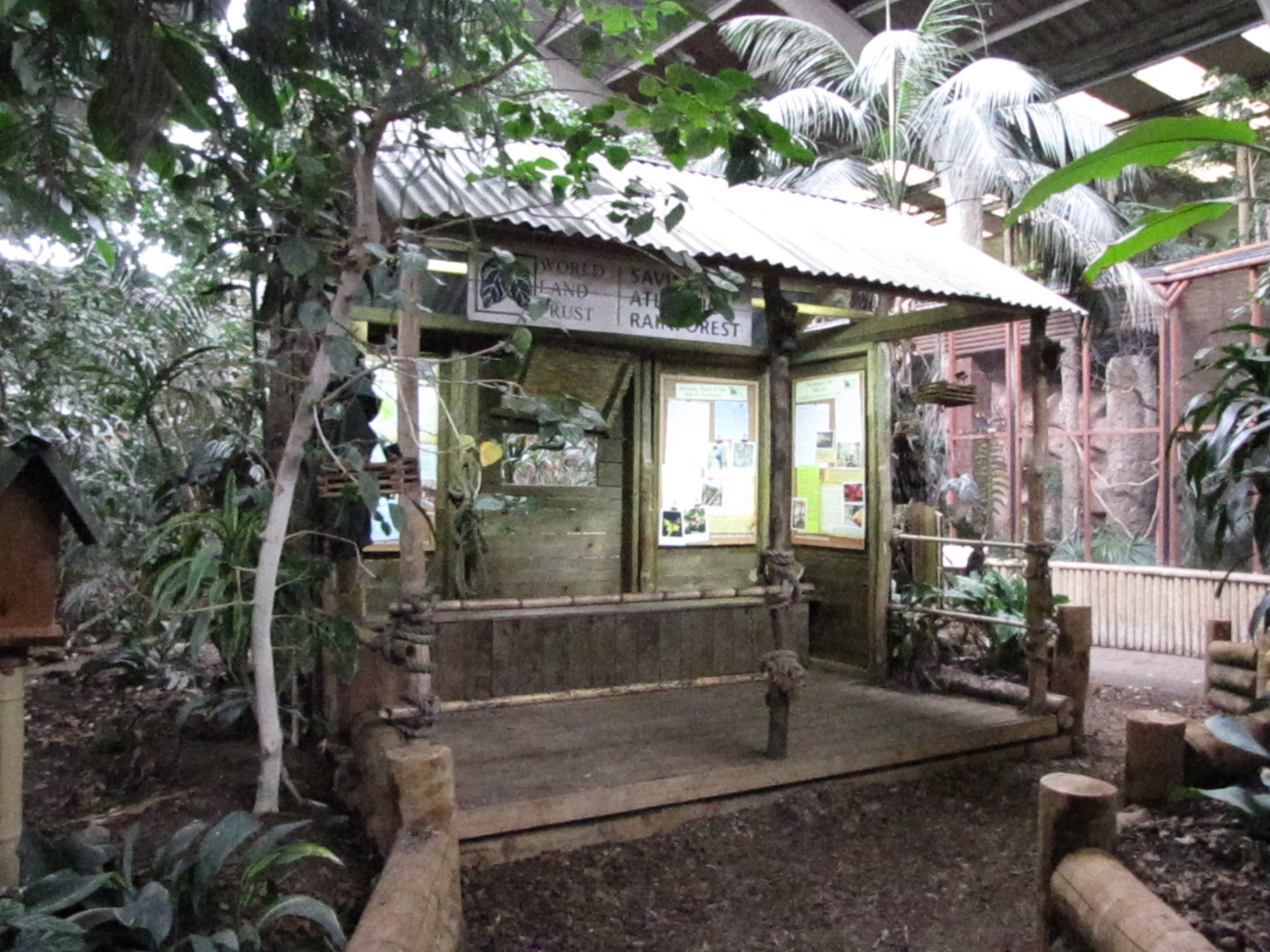 Tropical Realm hut