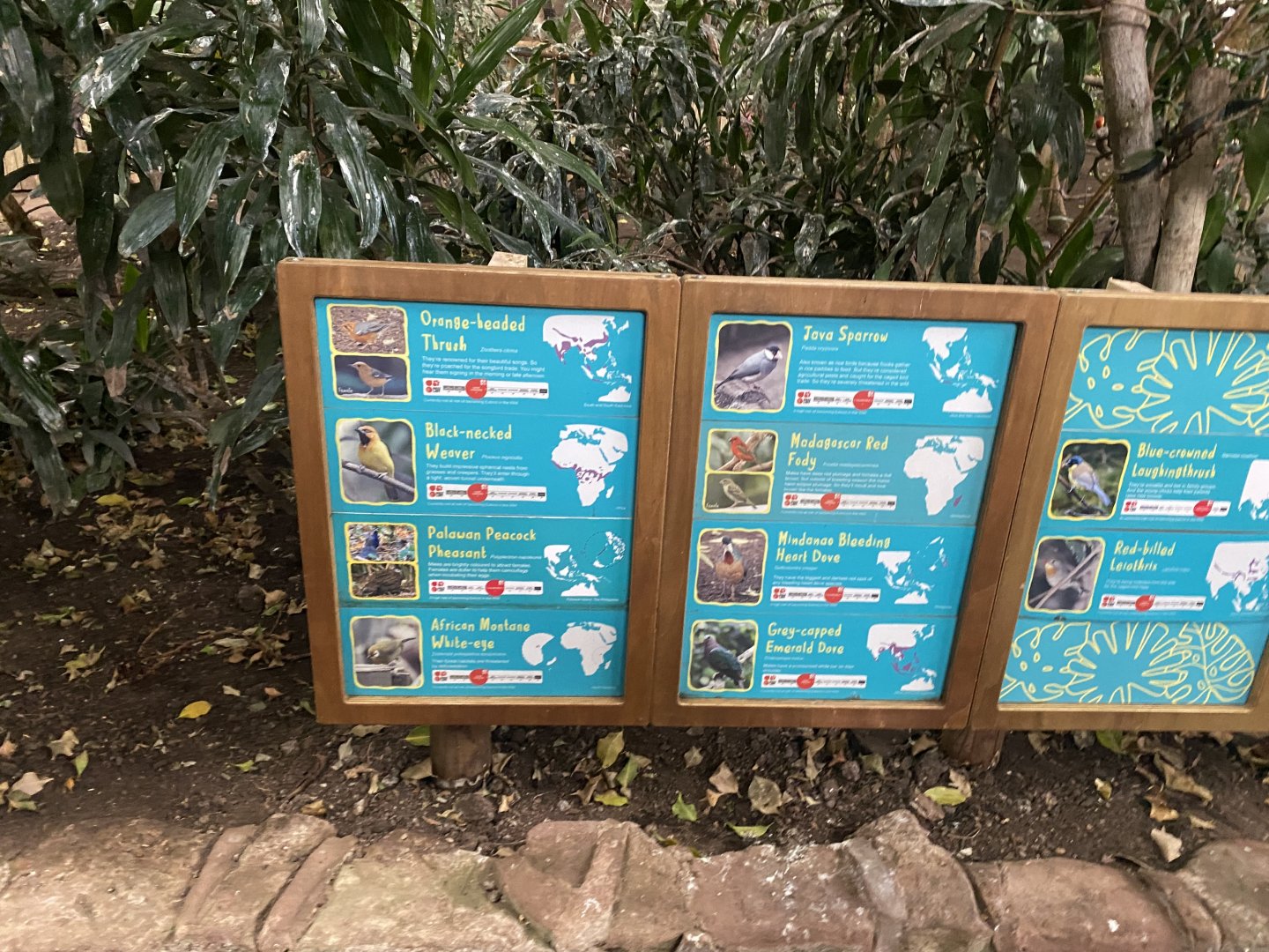 Tropical Realm - inhabitants signage 191021